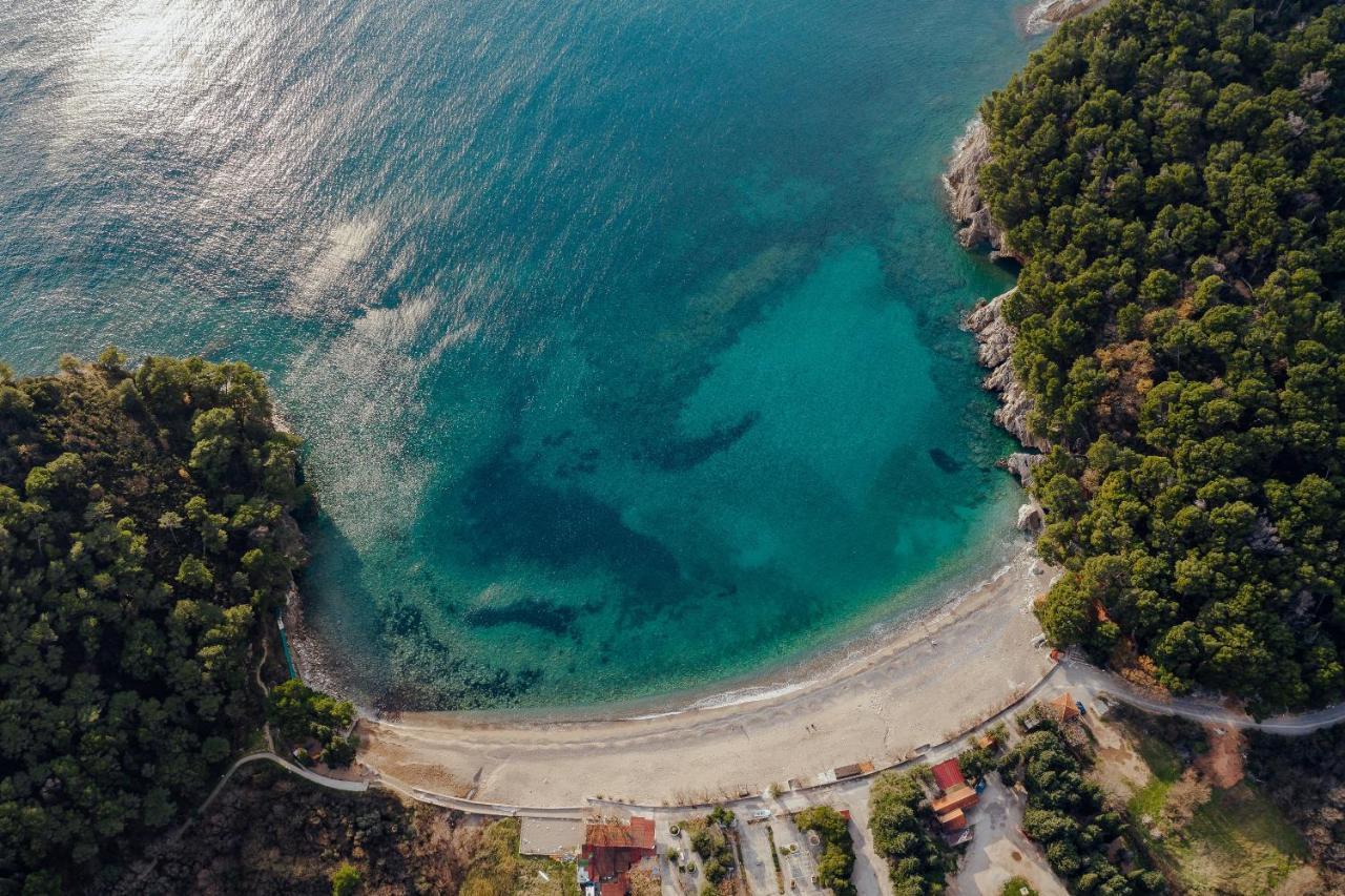 Palm Point Apartment Petrovac Exterior photo